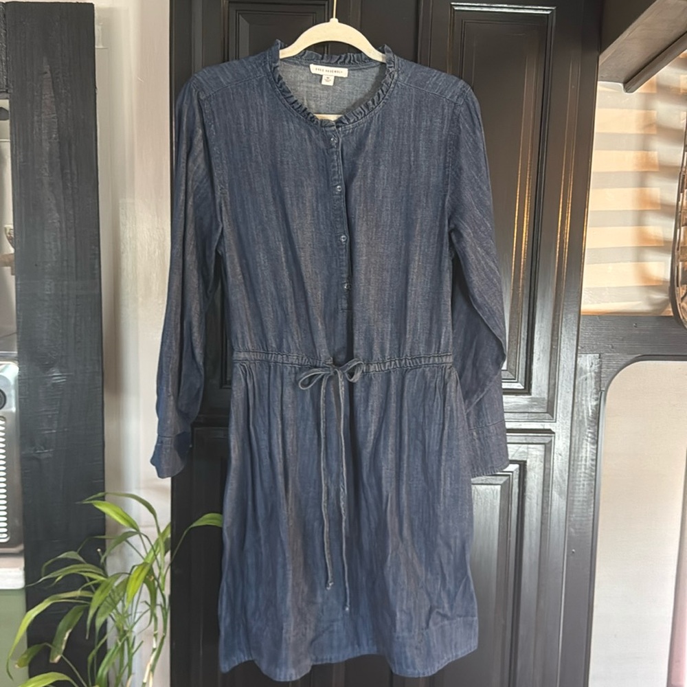 Free Assembly denim dress